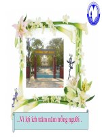 Báo cáo về việc ứng dụng công nghệ TT vào bài giảng