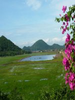 nhân với số có 2 chữ số