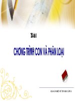 Bài 17: Chương trình con và phân loại