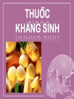 thuoc khang sinh