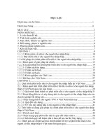 giải pháp tài chính phát triển nhà ở cho người thu nhập thấp ở việt nam