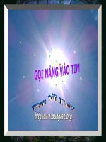 Gọi nắng vào tim