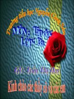 Tập đọc 3- Bài tập làm văn