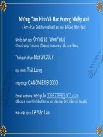 Quê hương của loài hạc