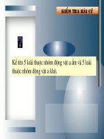 Bài 44. Ảnh hưởng lẫn nhau giữa các sinh vật