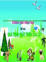 Dề tài : Sự phát triển của cây