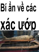 XÁC ƯỚP CỔ ĐẠI!!!