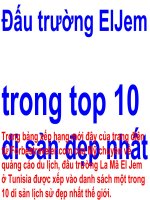 đấu trường