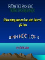 Tiết 68-Bài64: Tổng kết chương trình toàn cấp