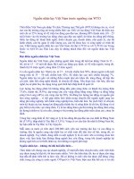 Nguồn nhân lực Việt Nam trước ngưỡng cửa WTO