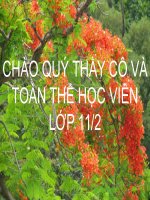 Bài 23 - Phong trào yêu nước