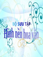 Bộ sưu tập hình nền 2