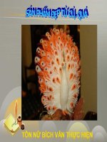 Sản phẩm đẹp từ củ, quả