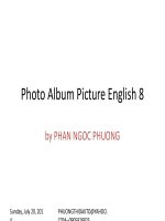 BỘ TRANH TIẾNG ANH 8