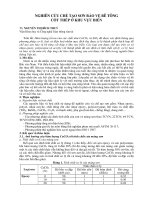 Báo cáo nghiên cứu khoa học: 