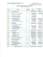 Công ty cổ phần pin ắc quy miền nam báo cáo bảng cân đối kế toán hợp nhất tại ngày 30 tháng 06 năm 2012
