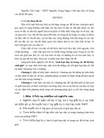 skkn 05. giới hạn dãy số trong các đề thi hs giỏi ( nguyễn văn giáp - thpt nguyễn trung ngạn