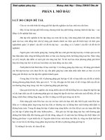 skkn áp dụng phương pháp quy đổi giải bài tập về sắt, hợp chất của sắt và một số phương pháp giải bài tập hóa học hữu cơ 11.