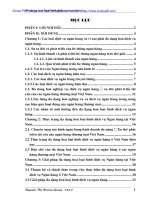 ĐỀ TÀI ĐA DẠNG HÓA LOẠI HÌNH DỊCH VỤ NGÂN HÀNG - NGUYỄN THỊ HƯƠNG GIANG - 1 pps