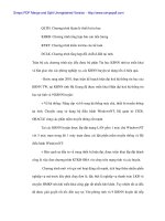 Ứng dụng Công nghệ thông tin thanh tóan liên kho bạc tại Hà Giang - 5 ppsx