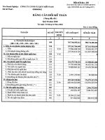 Công ty cổ phần pin ắc quy miền nam báo cáo bảng cân đối kế toán dạng đầy đủ quý 4 năm 2010 tại ngày 31 tháng 12 năm 2010