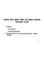 KỸ THUẬT DI TRUYỀN - PHẦN 2 ppt