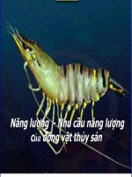 Năng lượng , Nhu cầu năng lượng của động vật thủy sản docx