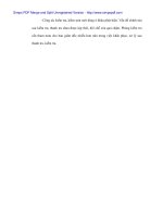 Phương hướng hạn chế rủi ro trong hoạt động cho vay tại Ngân hàng công thương Thanh Hóa - 7 potx