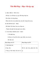 Giáo án lớp 1 môn Tiếng Việt :Tên Bài Dạy : Học vần ip, up pps