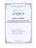 skkn áp dụng phương pháp  dạy học theo góc vào phân môn địa lý trong dạng bài thành phố nhằm phân hóa đối tượng cho hs lớp 4