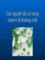 Các nguyên tắc sử dụng vitamin & khoáng chất doc
