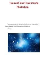 Tạo cảnh dưới nước trong Photoshop pps