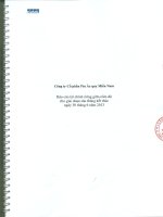Công ty cổ phần pin ắc quy miền nam báo cáo tài chính riêng giữa niên độ cho 6 tháng kết thúc ngày 30 tháng 6 năm 2013