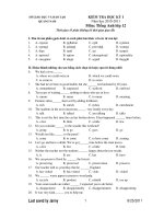 KIỂM TRA HỌC KỲ I Năm học 2010-2011 Môn: Tiếng Anh lớp 12 pps