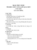 GIÁO ÁN SINH 7_Bài 44: THỰC HÀNH TÌM HIỂU CHỨC NĂNG (LIÊN QUAN ĐẾN CẤU TẠO) CỦA TUỶ SỐNG pdf