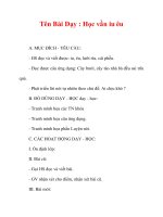 Giáo án lớp 1 môn Tiếng Việt :Tên Bài Dạy : Học vần iu êu pdf