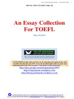 sample_essays_for_toefl_vngrammar_an_essay_collection_3369 (VnGrammar - 123Chiase - Vui như học) pptx