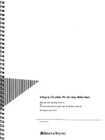 Công ty cổ phần pin ắc quy miền nam báo cáo của hội đồng quản trị và các báo cáo tài chính giữa niên độ đã được soát xét ngày 30 tháng 6 năm 2010