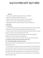 ĐẠI CƯƠNG ĐỘT QỤY NÃO pps