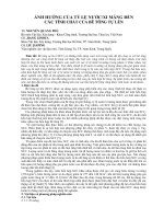 Báo cáo nghiên cứu khoa học: 