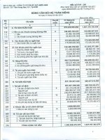 Báo cáo tài chính bảng cân đối kế toán riêng tại 31 tháng 3 năm 2014 CÔNG TY cổ PHẦN PIN ắc QUY MIỀN NAM