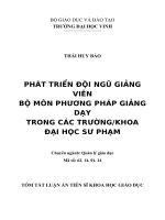Phát triển đội ngũ giảng viên bộ môn phương pháp giảng dạy trong các trường khoa Đại học sư phạm (tóm tắt)