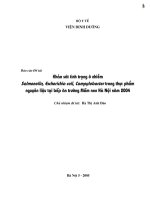 Khảo sát tình trạng ô nhiễm salmonella, escherichia coli, campylobacter trong thực phẩm nguyên liệu tại bếp ăn trường mầm non hà nội