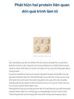 Phát hiện hai protein liên quan đến quá trình làm tổ ppt