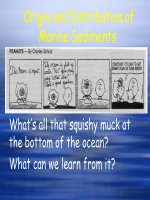 Geography and Oceanography - Chapter 8 pptx