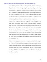 Hòan thiện và tạo điều kiện phát triển các Cty chứng khóan ở Việt Nam hiện nay - 7 ppt