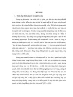 Phát huy truyền thống khoan dung nhằm tăng cường đồng thuận xã hội ở việt nam hiện nay