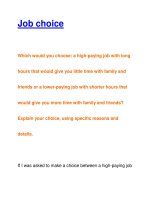 Job choiceWhich would you choose ppsx