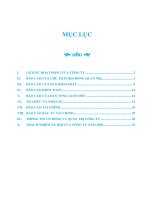 công ty cổ phần xuất nhập khẩu an giang angimex báo cáo thường niên 2009