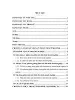 PHÂN TÍCH TÌNH HÌNH tài CHÍNH CÔNG TY cổ PHẦN điện tử và TRUYỀN HÌNH cáp VIỆT NAM